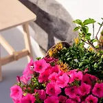 בית נופש Casa Delle Botti Cave House Santorini Oia
