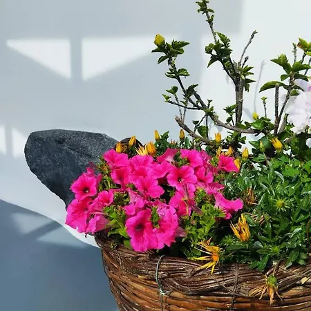 Holiday home Casa Delle Botti Cave House Santorini Oia