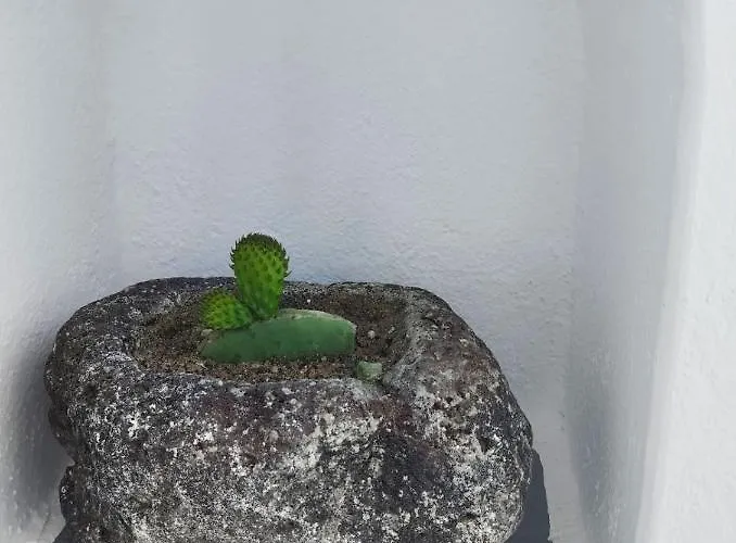 Casa vacanze Casa Delle Botti Cave House Santorini Oia Foinikiá