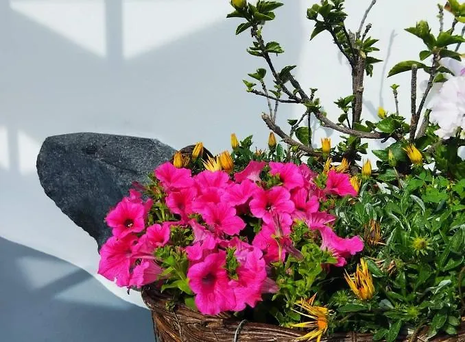 Casa vacanze Casa Delle Botti Cave House Santorini Oia