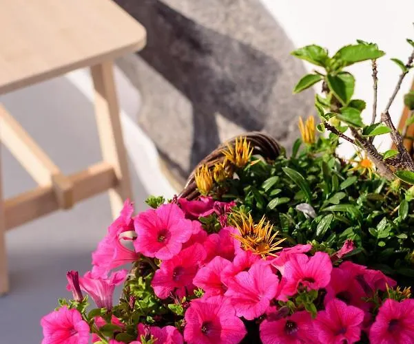 Casa vacanze Casa Delle Botti Cave House Santorini Oia